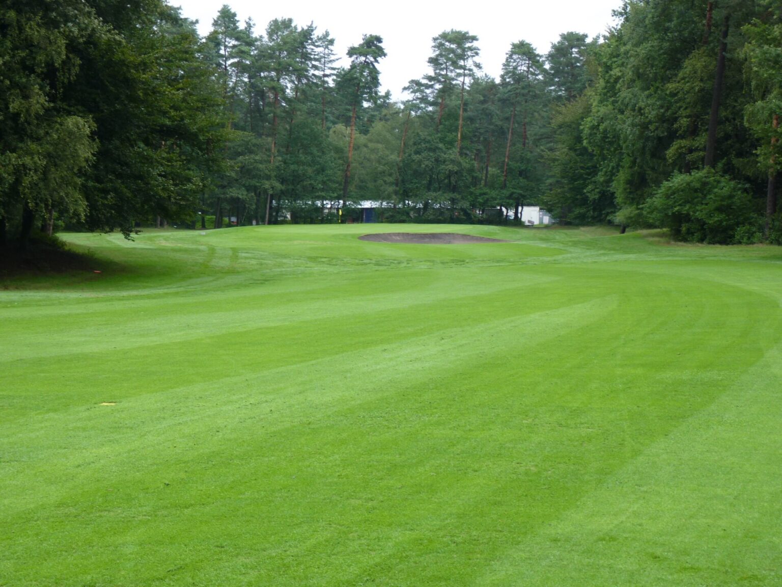 Fix Golf Club